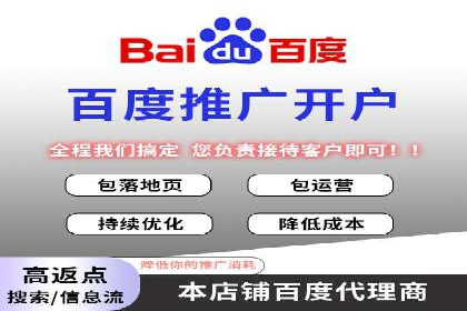 SEM主管实战：案例分析与优化策略